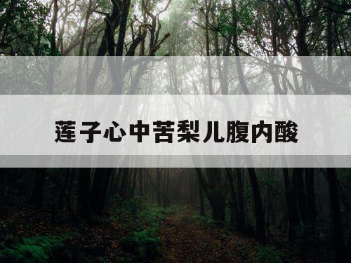 莲子心中苦梨儿腹内酸