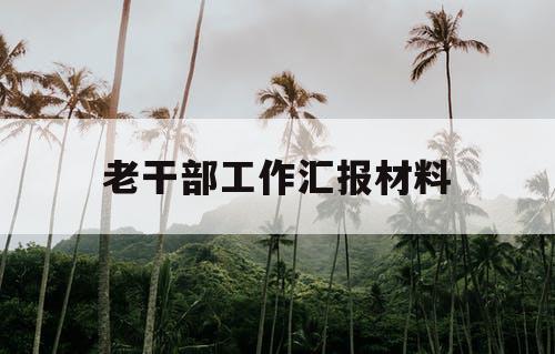 老干部工作汇报材料
