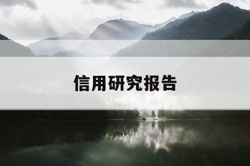 信用研究报告