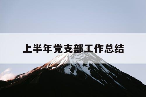 上半年党支部工作总结