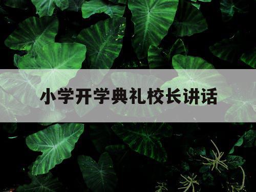 小学开学典礼校长讲话