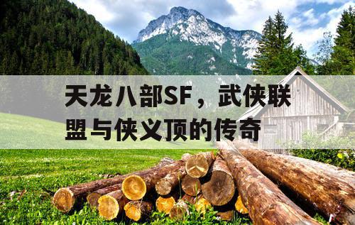 天龙八部SF，武侠联盟与侠义顶的传奇