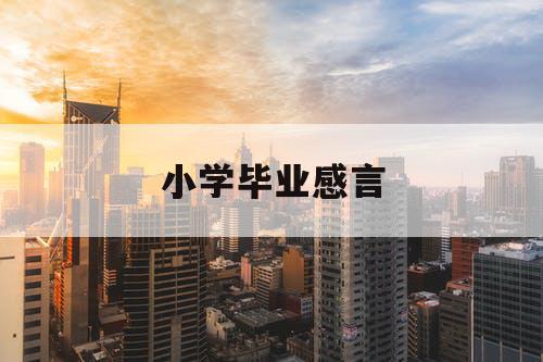 小学毕业感言