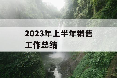 2023年上半年销售工作总结