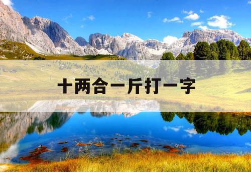十两合一斤打一字
