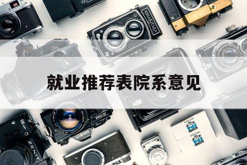 就业推荐表院系意见