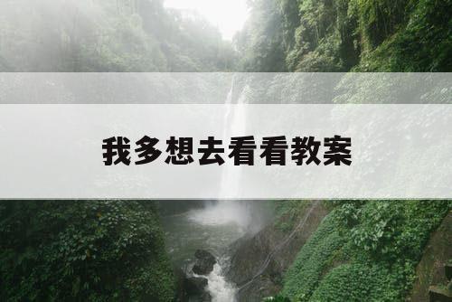 我多想去看看教案
