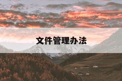 文件管理办法