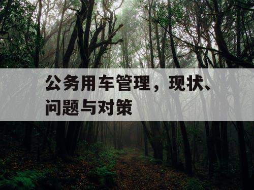 公务用车管理，现状、问题与对策