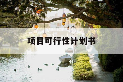项目可行性计划书