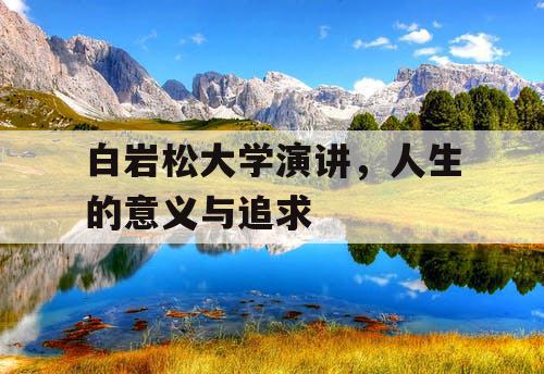白岩松大学演讲，人生的意义与追求