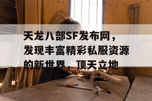 天龙八部SF发布网，发现精彩纷呈的私人服务器资源的新领域，顶天立地