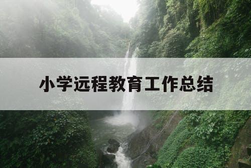 小学远程教育工作总结