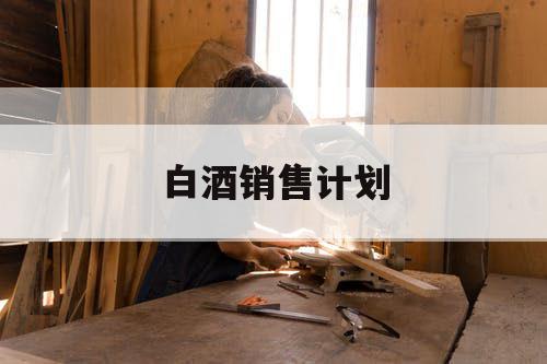白酒销售计划
