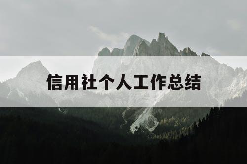 信用社个人工作总结
