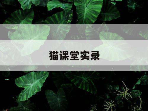 猫课堂实录 猫课堂实录