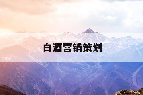 白酒营销策划