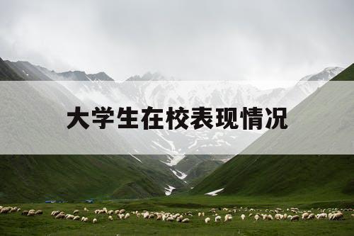 大学生在校表现情况