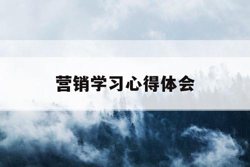 营销学习心得体会