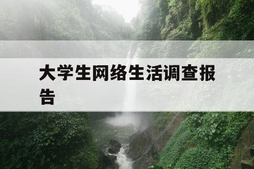 大学生网络生活调查报告