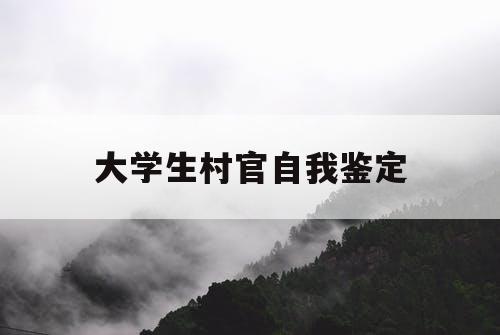 大学生村官自我鉴定