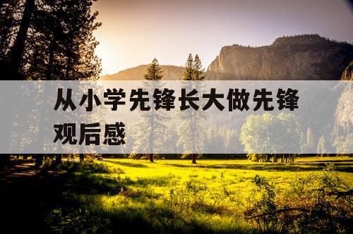 从小学先锋长大做先锋观后感