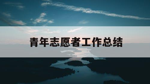 青年志愿者工作总结