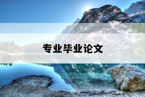 专业毕业论文