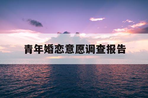青年婚恋意愿调查报告