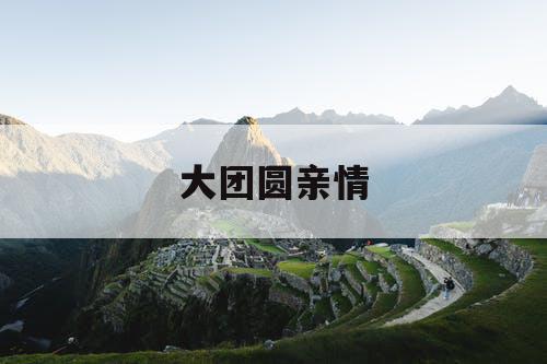 大团圆亲情
