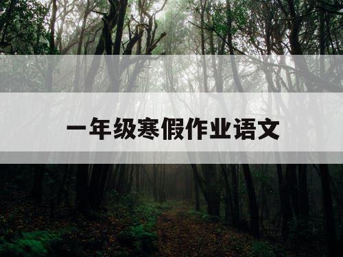 一年级寒假作业语文