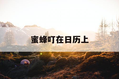蜜蜂叮在日历上