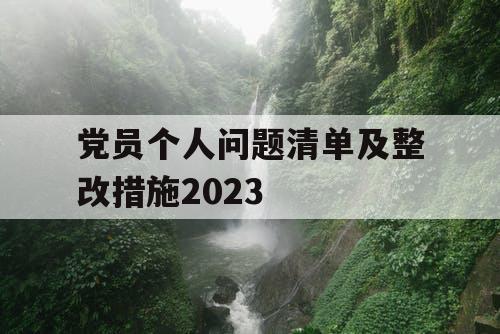 党员个人问题清单及整改措施2023