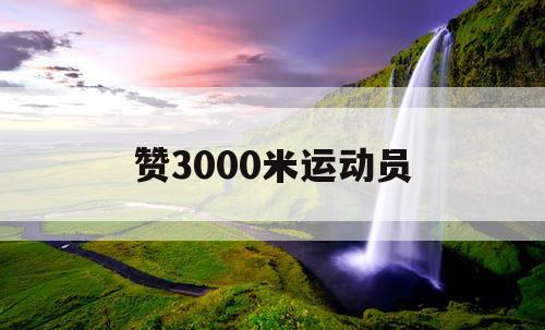 赞3000米运动员