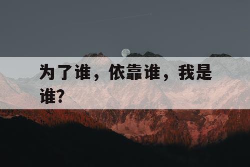 为了谁，依靠谁，我是谁？