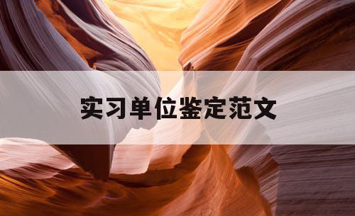 实习单位鉴定范文