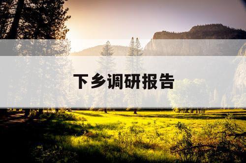 下乡调研报告