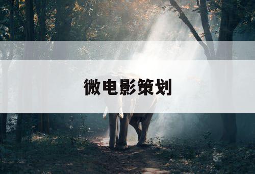 微电影策划