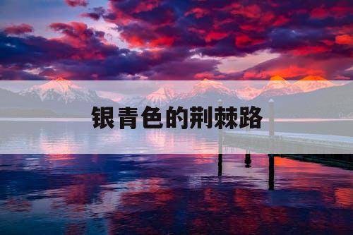 银青色的荆棘路