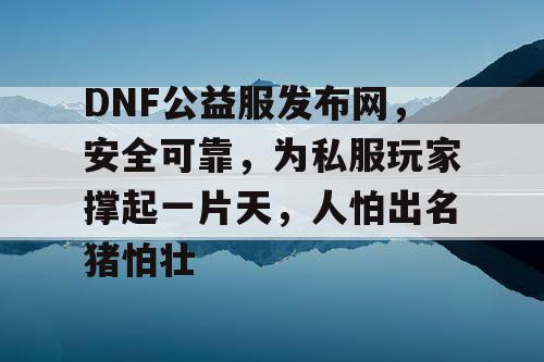 DNF公益服发布网，安全可靠，为私服玩家撑起一片天，人怕出名猪怕壮