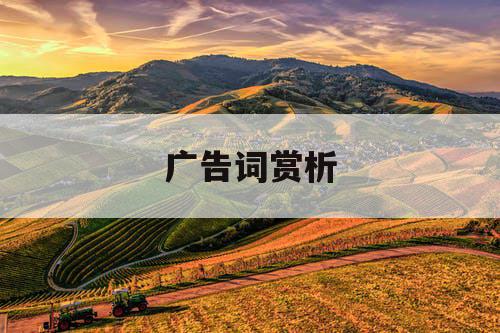 广告词赏析