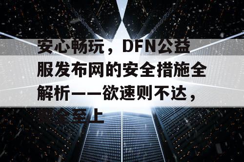安心畅玩，DFN公益服发布网的安全措施全解析——欲速则不达，安全至上
