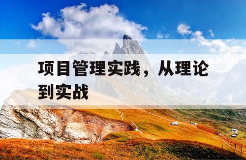项目管理实践，从理论到实战