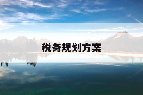 税务规划方案
