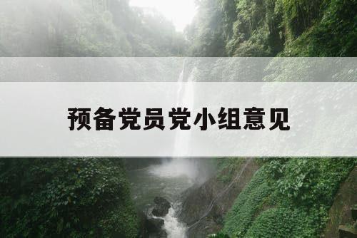 预备党员党小组意见