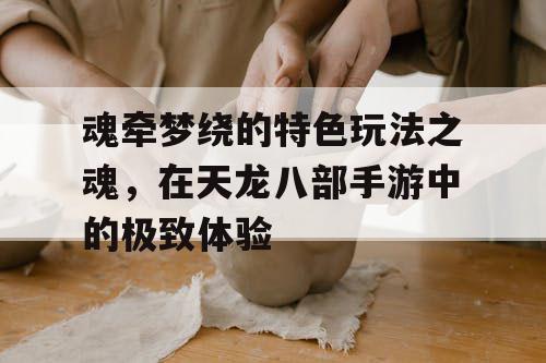 魂牵梦绕的特色玩法之魂，在天龙八部手游中的极致体验