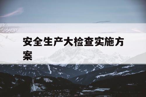 安全生产大检查实施方案