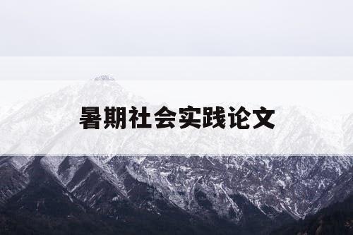 暑期社会实践论文