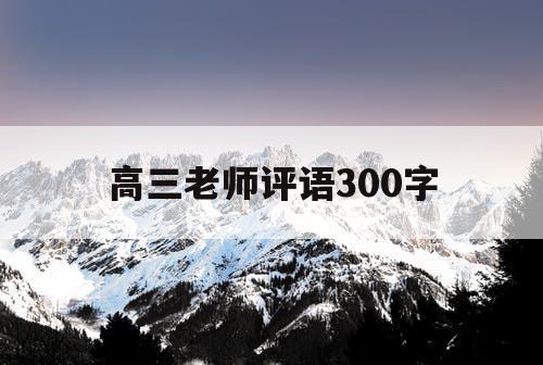 高三老师评语300字