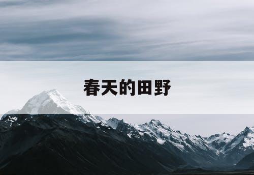 春天的田野